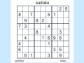 Sudoku 2 Game